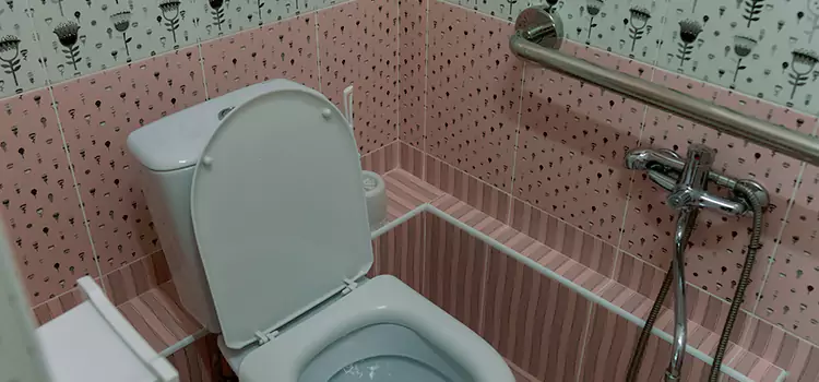 Meeting Diverse Needs With Accessible Restroom Solutions in Danville, IL