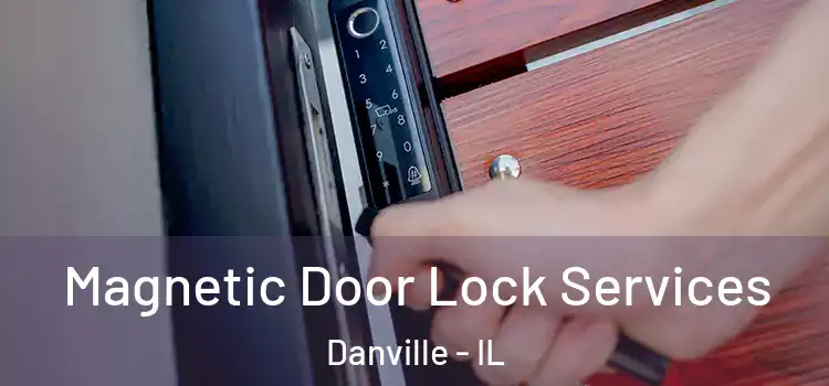 Magnetic Door Lock Services Danville - IL